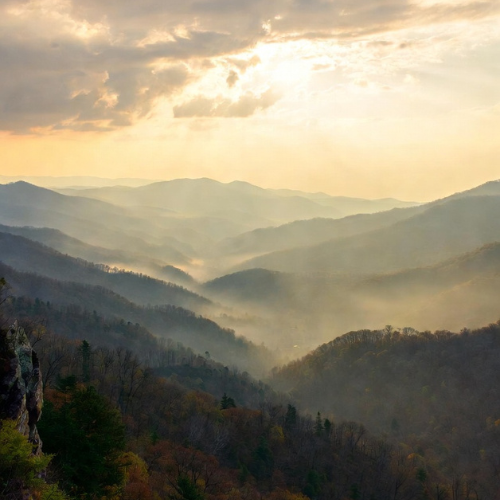 Technician inspecting a septic access point
